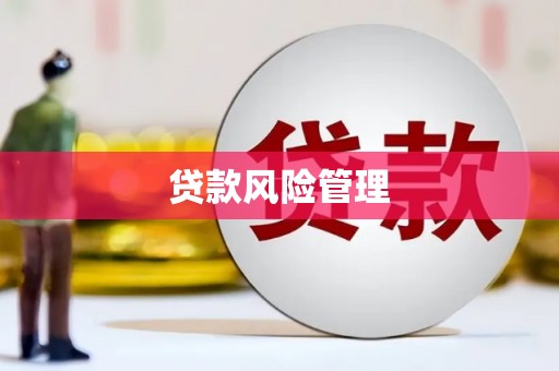 通山贷款风险管理