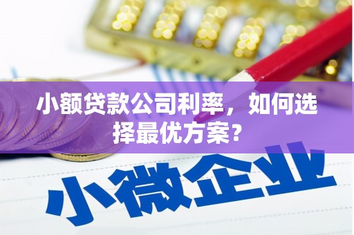 通山小额贷款公司利率，如何选择最优方案？