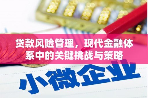 通山贷款风险管理，现代金融体系中的关键挑战与策略