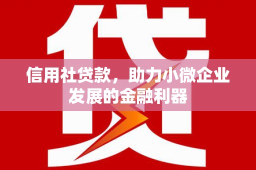 通山信用社贷款，助力小微企业发展的金融利器