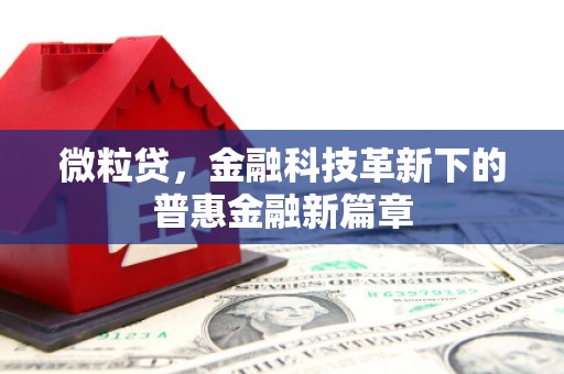 通山微粒贷，金融科技革新下的普惠金融新篇章