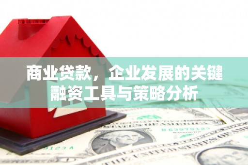 通山商业贷款，企业发展的关键融资工具与策略分析