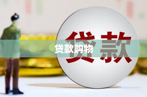 通山贷款购物
