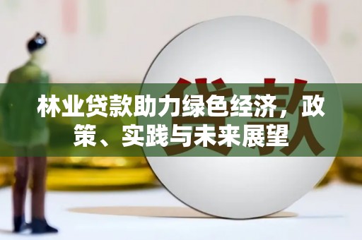 通山林业贷款助力绿色经济，政策、实践与未来展望
