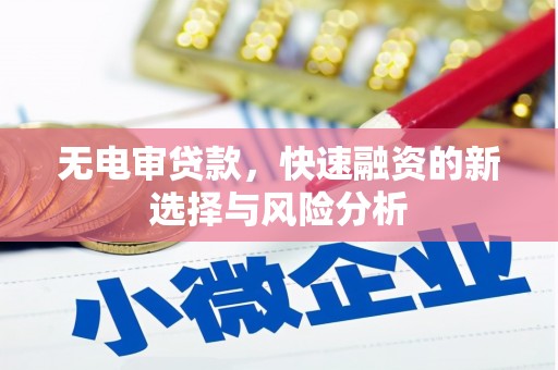 通山无电审贷款，快速融资的新选择与风险分析