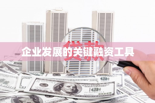通山企业发展的关键融资工具