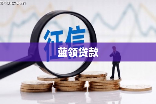 通山蓝领贷款
