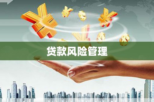 通山贷款风险管理