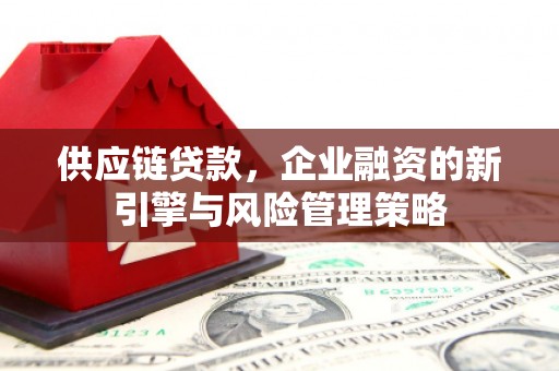 通山供应链贷款，企业融资的新引擎与风险管理策略