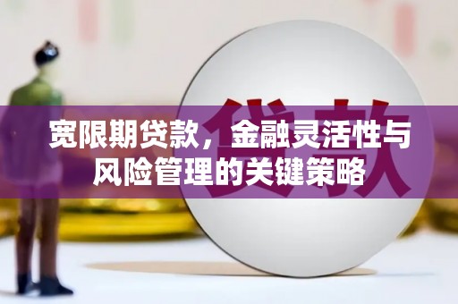 通山宽限期贷款，金融灵活性与风险管理的关键策略