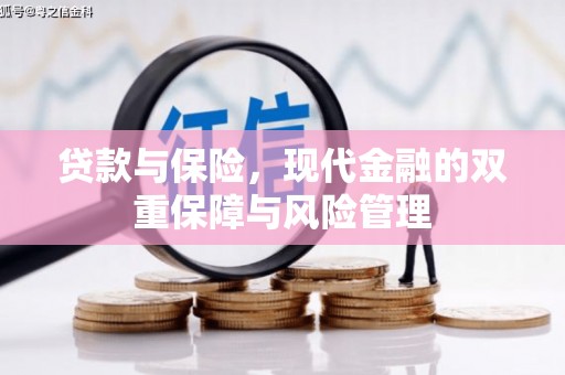 通山贷款与保险，现代金融的双重保障与风险管理