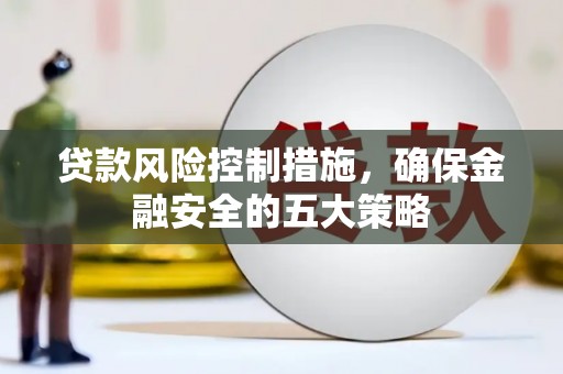 通山贷款风险控制措施，确保金融安全的五大策略