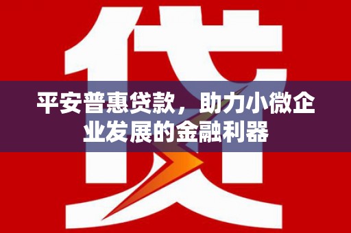 通山平安普惠贷款，助力小微企业发展的金融利器