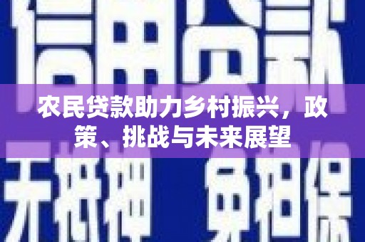 通山农民贷款助力乡村振兴，政策、挑战与未来展望