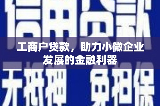 通山工商户贷款，助力小微企业发展的金融利器