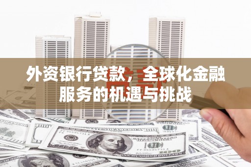 通山外资银行贷款，全球化金融服务的机遇与挑战