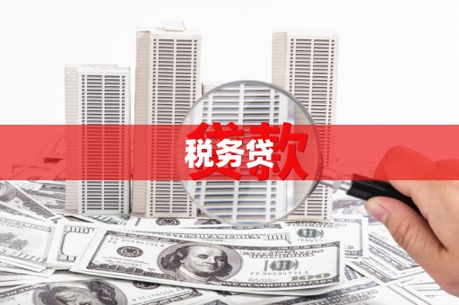 通山税务贷