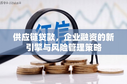 通山供应链贷款，企业融资的新引擎与风险管理策略
