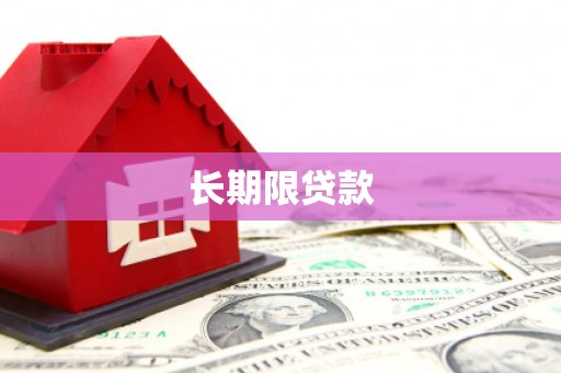 通山长期限贷款
