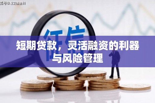 通山短期贷款，灵活融资的利器与风险管理