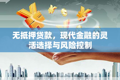 通山无抵押贷款，现代金融的灵活选择与风险控制