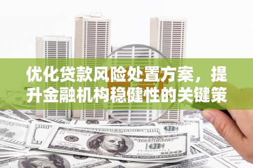 通山优化贷款风险处置方案，提升金融机构稳健性的关键策略
