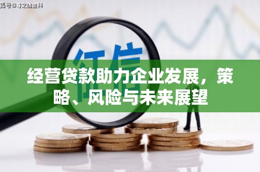 通山经营贷款助力企业发展，策略、风险与未来展望