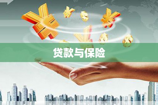 通山贷款与保险