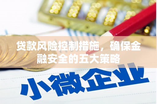 通山贷款风险控制措施，确保金融安全的五大策略