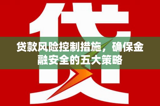 通山贷款风险控制措施，确保金融安全的五大策略