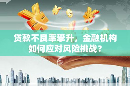通山贷款不良率攀升，金融机构如何应对风险挑战？