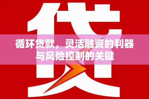 通山循环贷款，灵活融资的利器与风险控制的关键