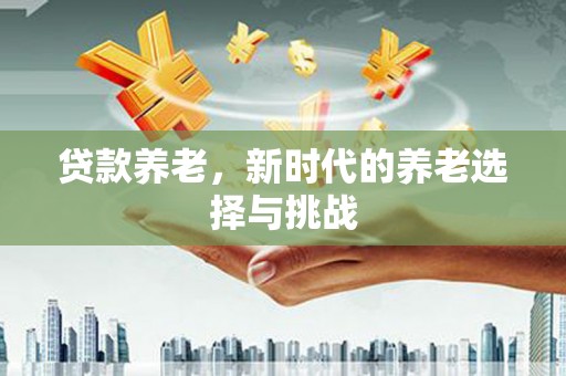 通山贷款养老，新时代的养老选择与挑战