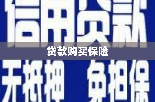 通山贷款购买保险