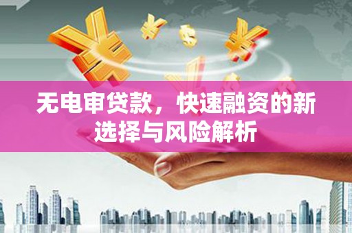 通山无电审贷款，快速融资的新选择与风险解析