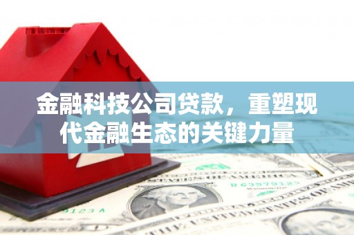 通山金融科技公司贷款，重塑现代金融生态的关键力量