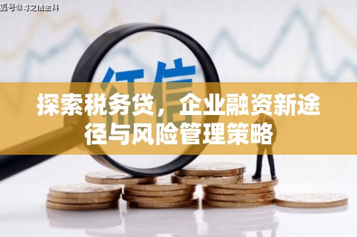通山探索税务贷，企业融资新途径与风险管理策略