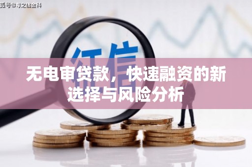 通山无电审贷款，快速融资的新选择与风险分析
