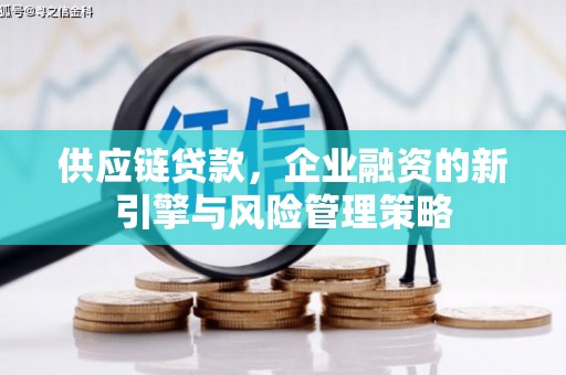 通山供应链贷款，企业融资的新引擎与风险管理策略