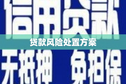通山贷款风险处置方案