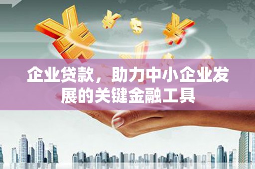 通山企业贷款，助力中小企业发展的关键金融工具