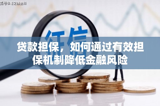 通山贷款担保，如何通过有效担保机制降低金融风险