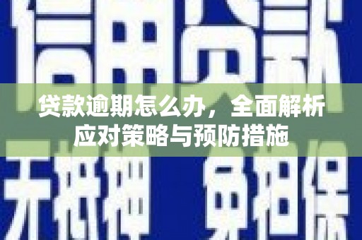 通山贷款逾期怎么办，全面解析应对策略与预防措施