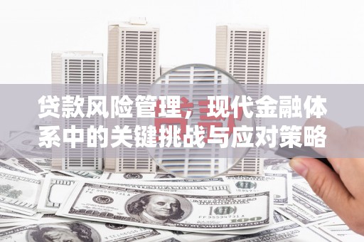 通山贷款风险管理，现代金融体系中的关键挑战与应对策略