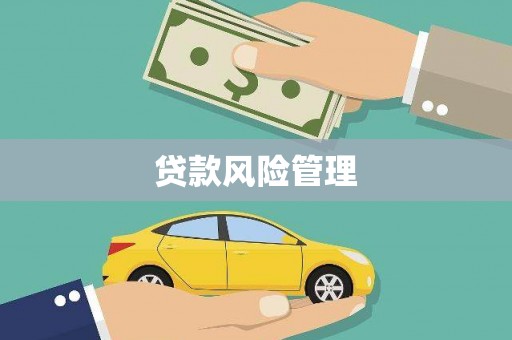 通山贷款风险管理