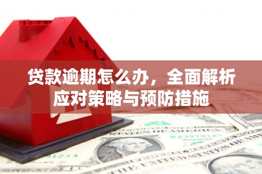 通山贷款逾期怎么办，全面解析应对策略与预防措施