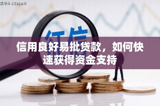 通山信用良好易批贷款，如何快速获得资金支持