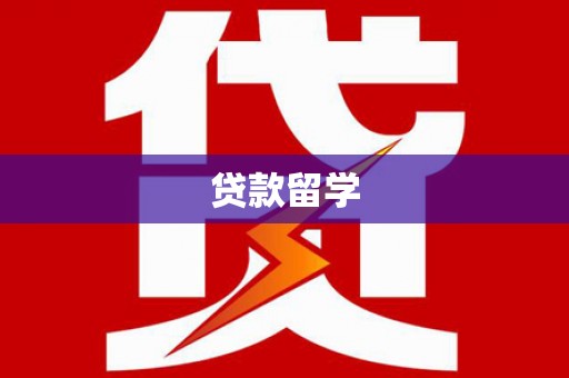 通山贷款留学