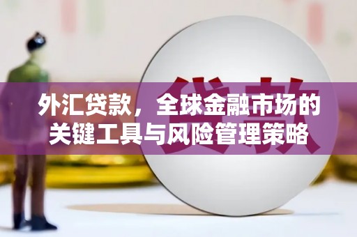 通山外汇贷款，全球金融市场的关键工具与风险管理策略