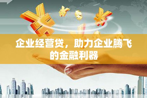 通山企业经营贷，助力企业腾飞的金融利器